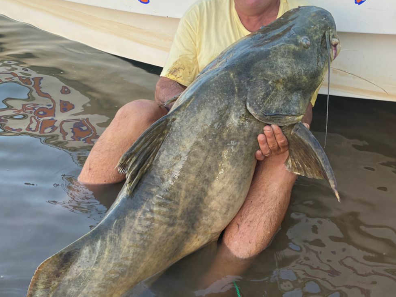pousada, argentina, pesca