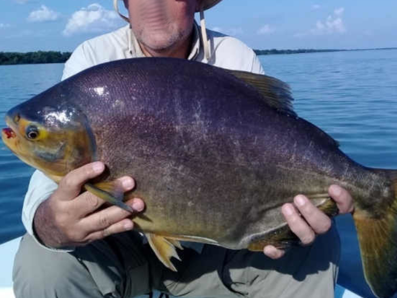 pousada, argentina, pesca